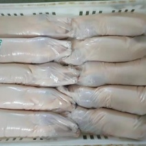 樱桃谷白条鸭