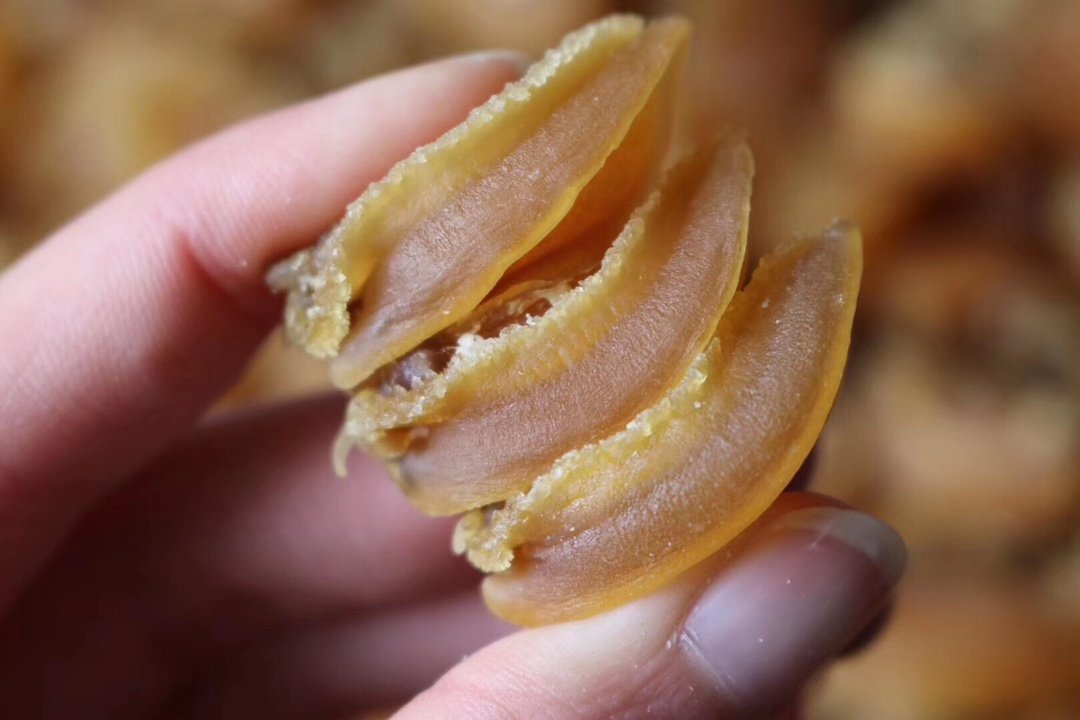 低胆固醇的优质蛋白来源推荐