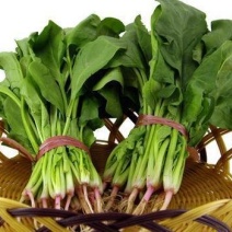 自种菠菜