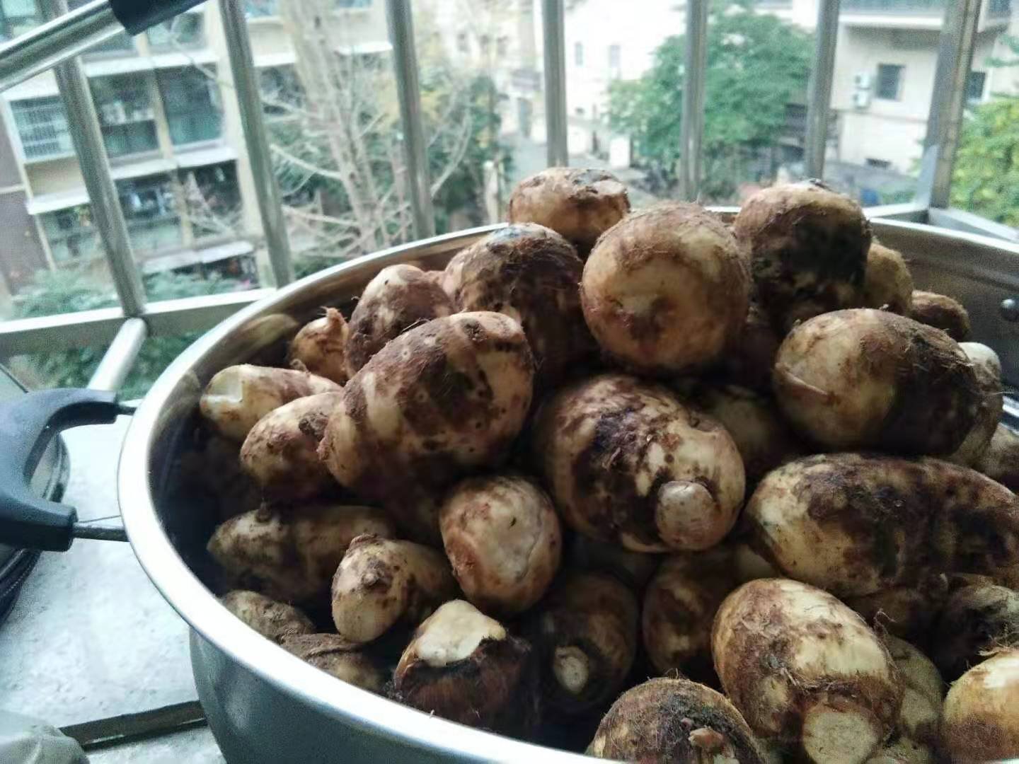 一位厨师正在厨房灶台前操作,左手持木铲在不粘锅中翻炒金黄色的芋泥,锅中热气升腾;台面上摆放着去皮的毛芋头块、黄油块、牛奶盒和白糖罐,背景为整洁的现代厨房环境 厨房制作芋泥过程图