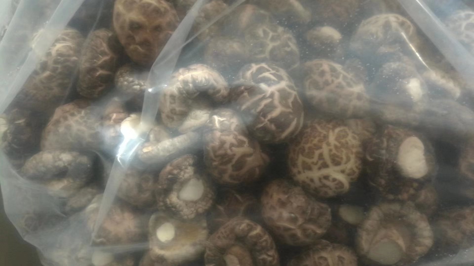 特写镜头:左侧为刚剪去头尾的鲜嫩蒜薹中段,茎粗均匀、断面青绿;右侧为用干刷清洁后的完整口蘑与切片口蘑,菌肉紧实有弹性;画面右下角可见干燥洁净的厨房纸与天然毛刷 新鲜翠绿蒜薹与洁白口蘑并排摆放,蒜薹茎秆笔直带蜡质光泽,口蘑菌盖圆润无斑点,旁边放有干毛刷和厨房纸