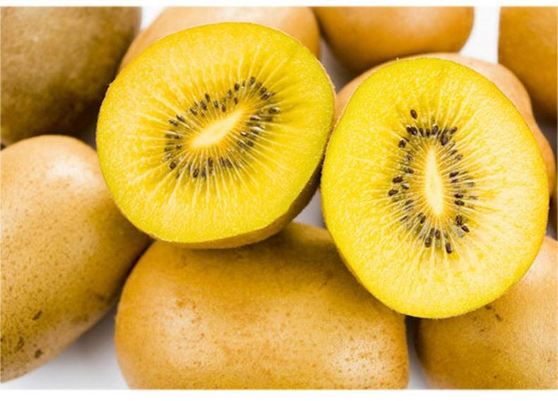 成熟的西峡黄心猕猴桃横切面,果肉呈现鲜艳的金黄色,中心有明显的放射状心形花纹,汁水饱满,籽粒黑色均匀分布,背景虚化的绿叶衬托出果实的新鲜质感 西峡黄心猕猴桃切面特写