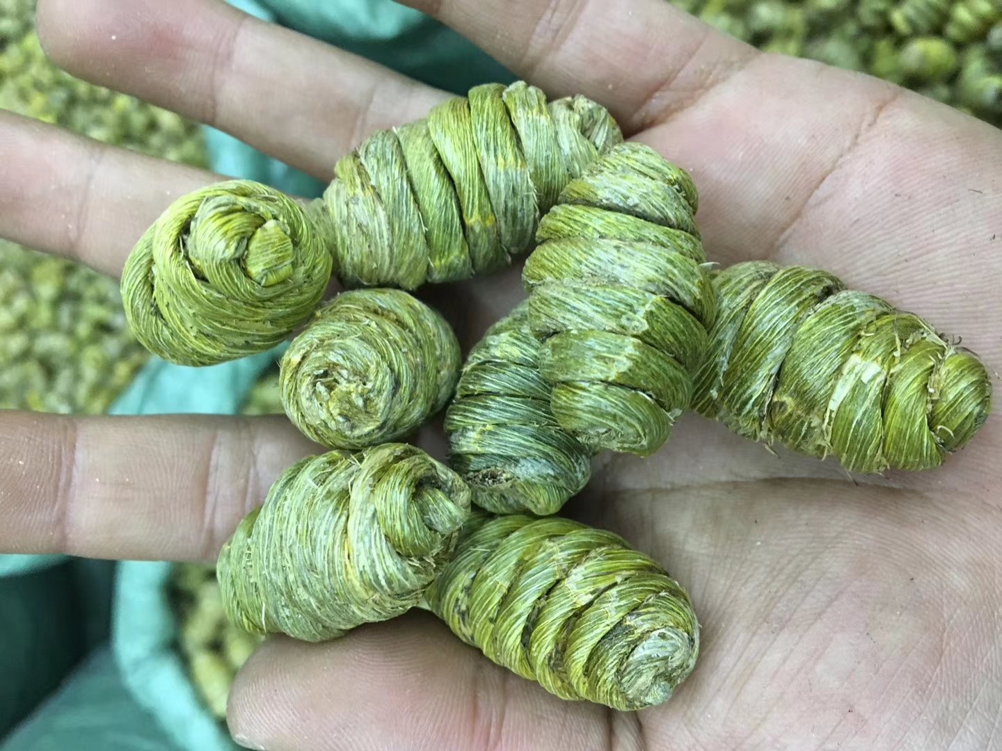 陈皮川贝石斛汤食材图