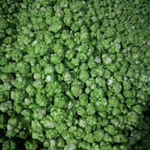 榨菜