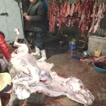 驴肉