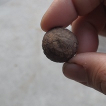 南阳精品干香菇/基地直发1.8优选/可一件代发/量大从优