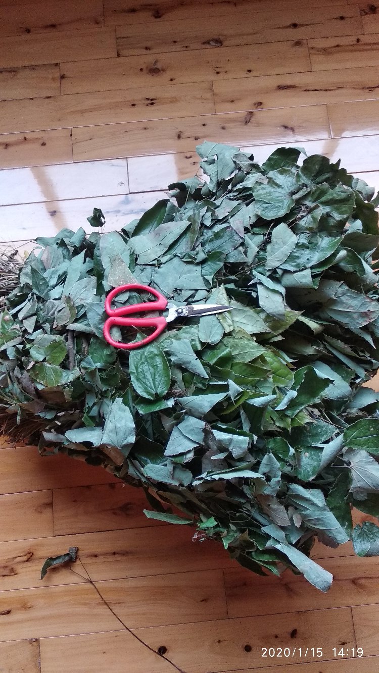 贵州野生中药材淫羊藿茎叶干货羊角叶产地直销仙灵脾根干品