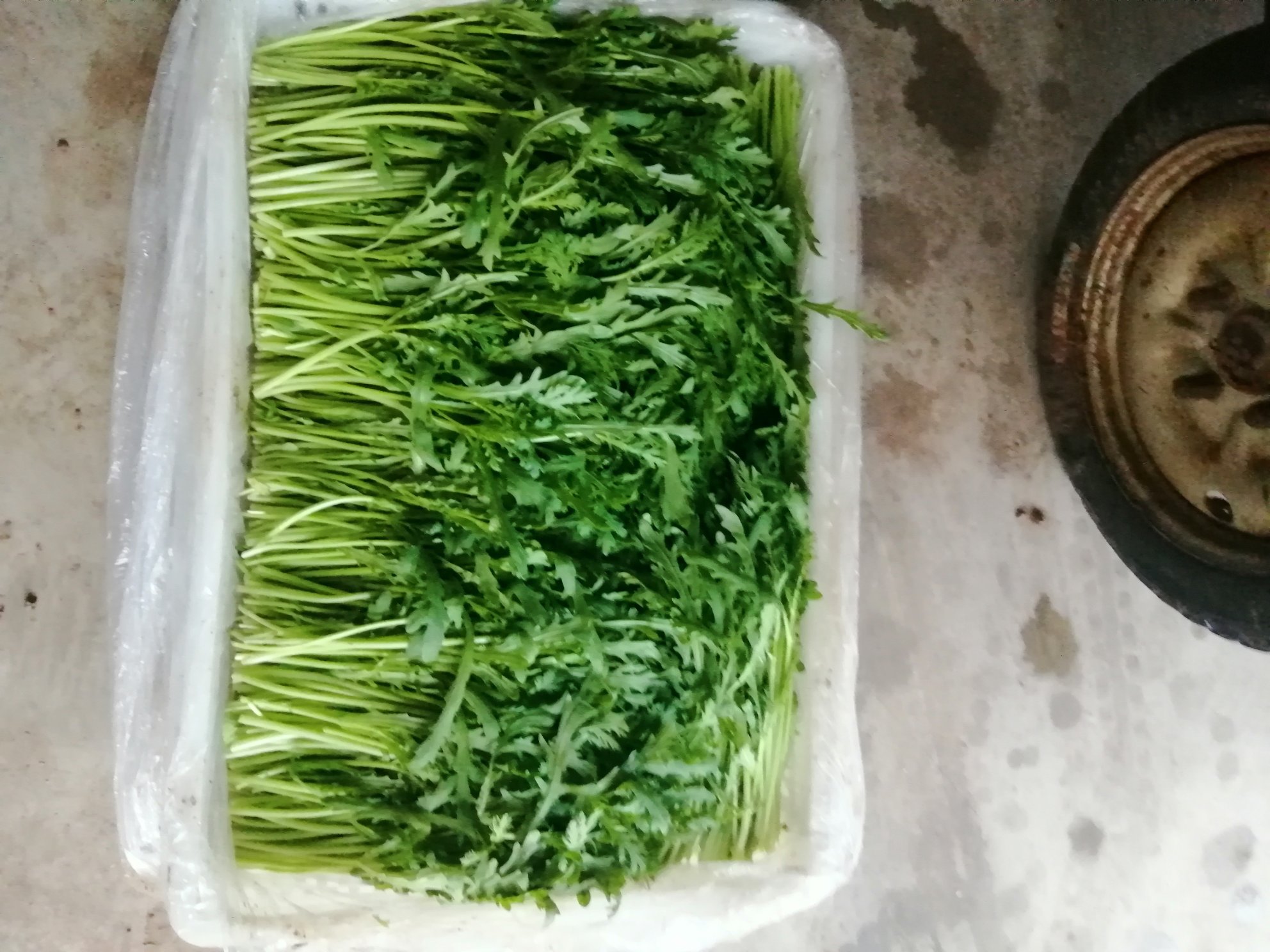 茼蒿与其他食材搭配图