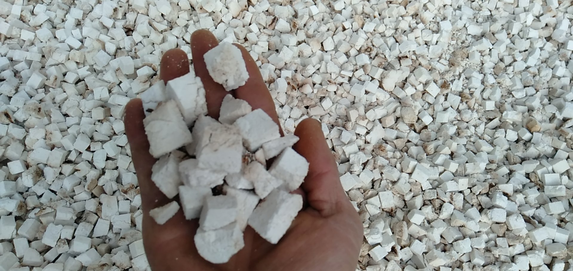 图示展示了白扁豆的归经路径,重点标注其对脾经和胃经的影响,背景为中医人体经络图 白扁豆与脾胃经络关系图