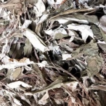白眉草【包邮】三斤起发货可批量可零售量大从优