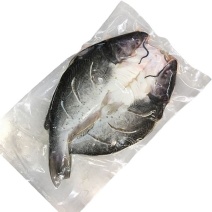 巴沙鱼