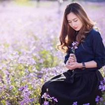 二月兰种子四季种易活千日红千日紫种子多年生宿根诸葛菜种子