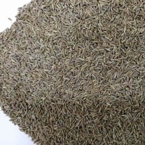 进口孜然颗粒印度孜然孜然土豆烧烤撒料