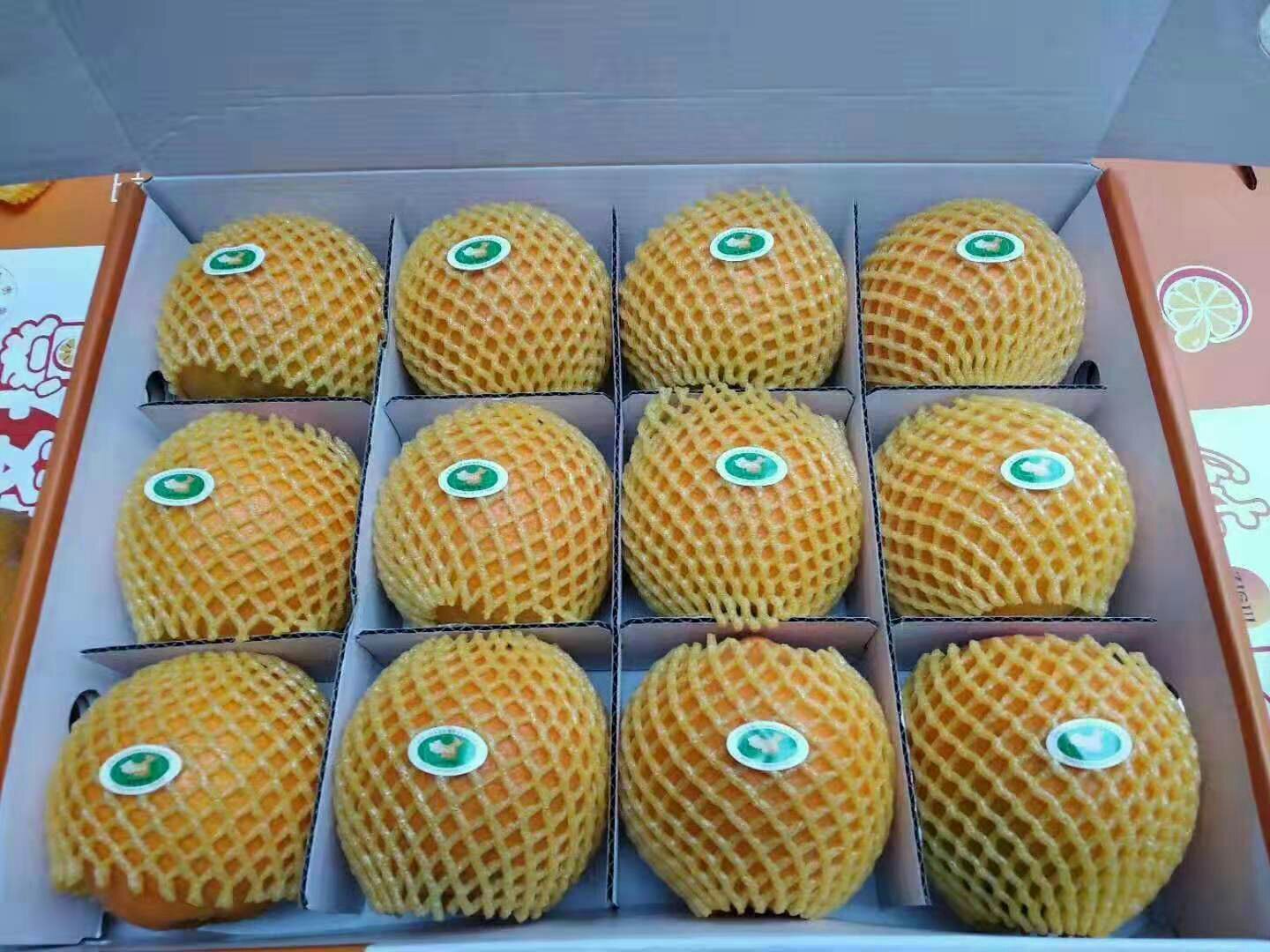 包装精美的伦晚脐橙礼盒