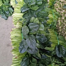 菠菜