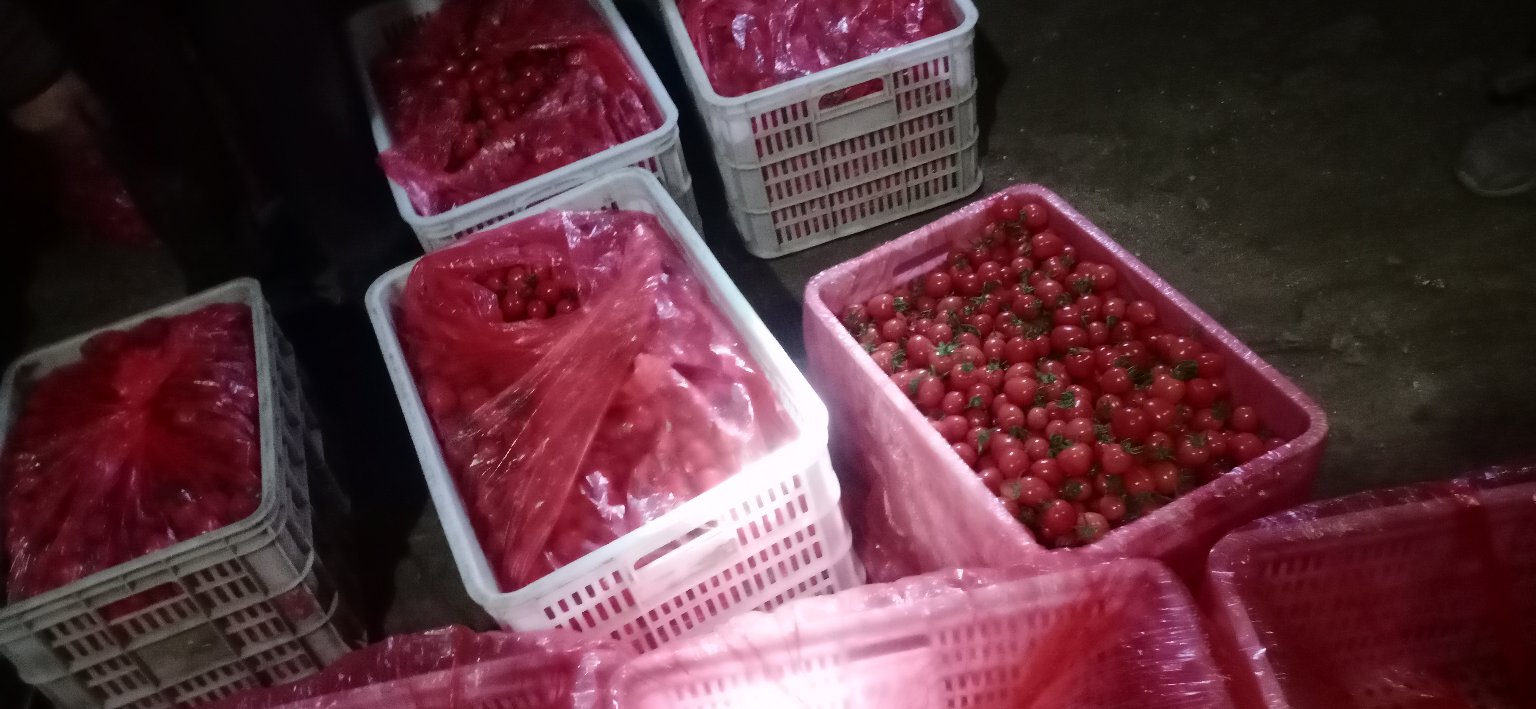 上半部分展示新鲜圣女果用于水果拼盘、儿童餐盒、沙拉碗的场景;下半部分展示果干用于瑜伽包零食袋、早餐燕麦粥点缀、DIY能量球制作的画面,体现不同生活方式下的应用 圣女果应用场景对比图