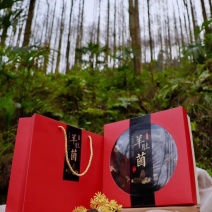 2024年全新精品羊肚菌头茬干货企业/社团礼盒订制