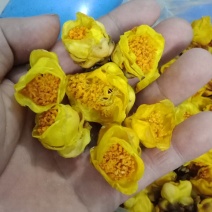 防普金花茶烘干花。防城港产地自销。150元一斤，2斤起走