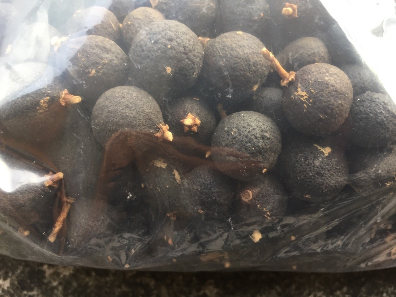 陈皮川贝甘草煮水与雪梨块的搭配图,清新自然,展现润肺搭配理念 陈皮川贝甘草煮水与雪梨搭配图