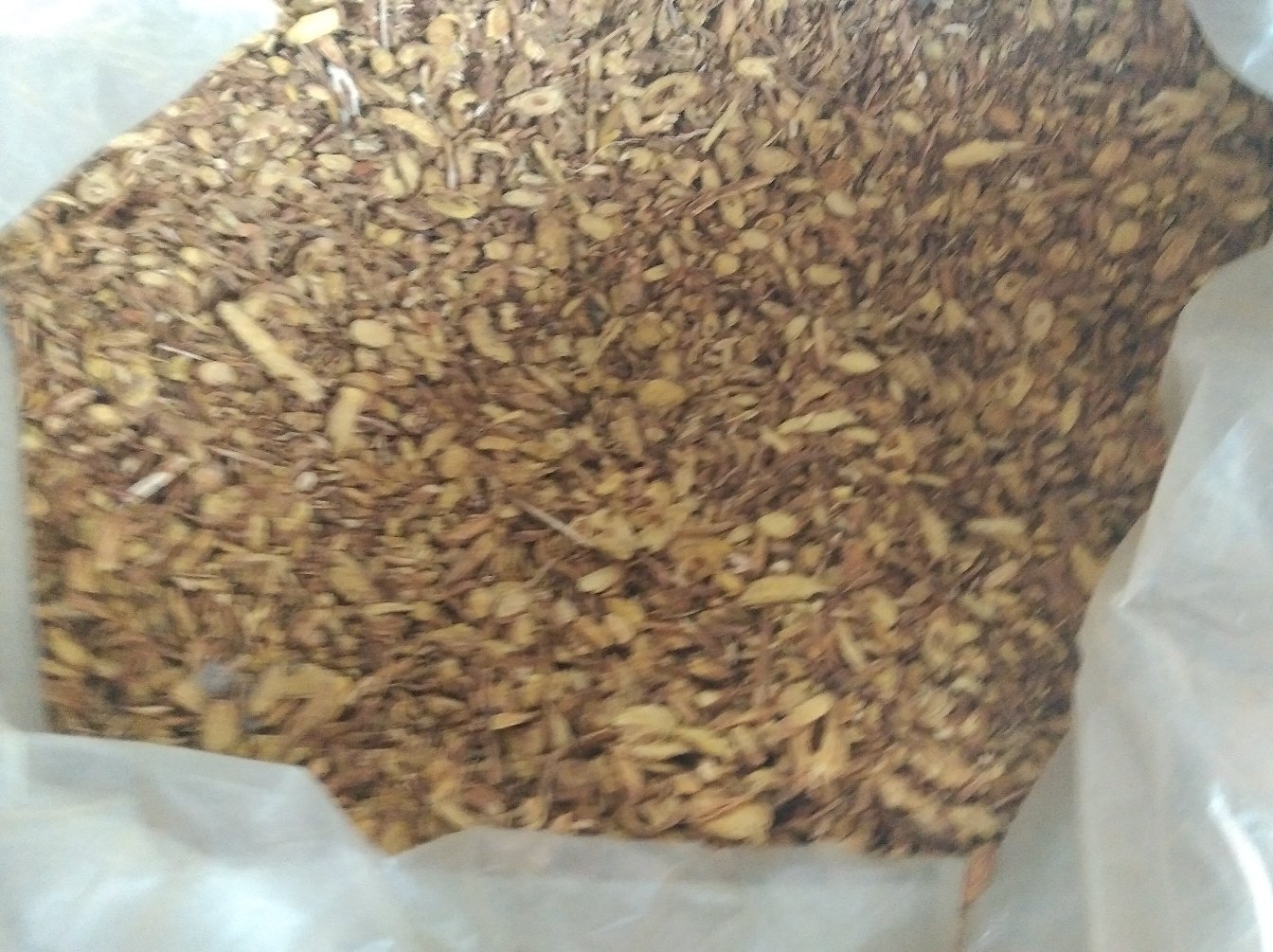 图片显示中药柜台中两个小药斗,分别标有‘黄芩’和‘淡黄芩’,内部饮片清晰可见:左侧黄芩颜色深黄至棕褐,质地坚实;右侧淡黄芩颜色浅黄甚至微白,外观更为柔和 中药房内黄芩饮片与淡黄芩饮片并列摆放对比图