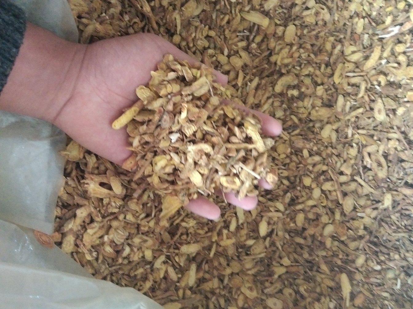 中医师正在为患者讲解黄芩与麻黄的区别