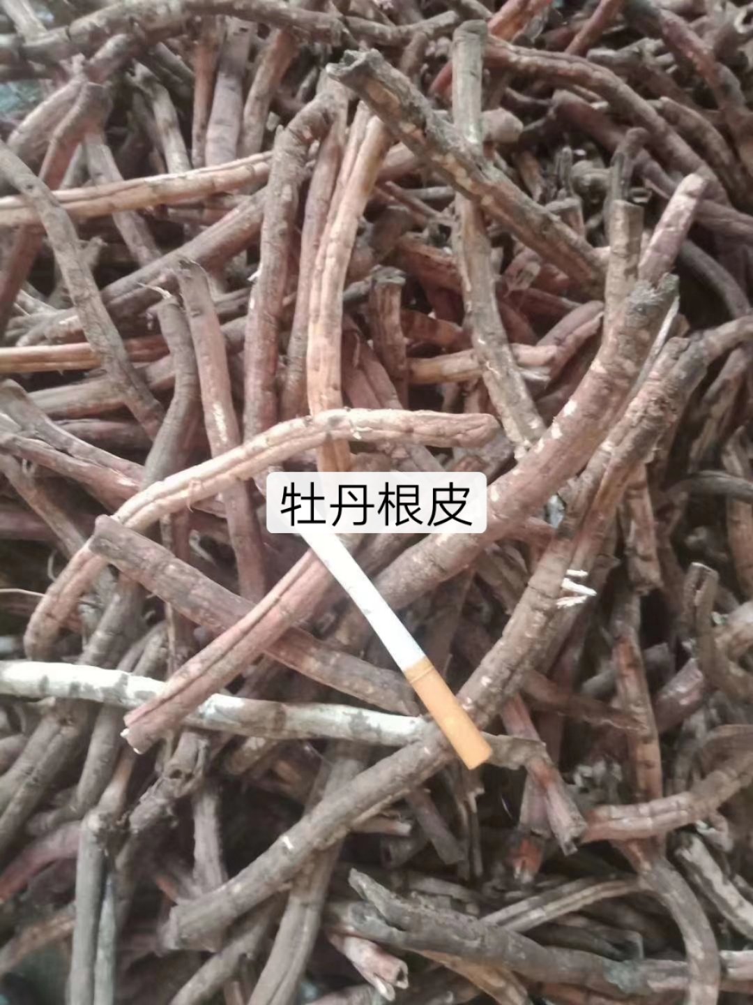 牡丹皮显微,粉末,特征_大山谷图库