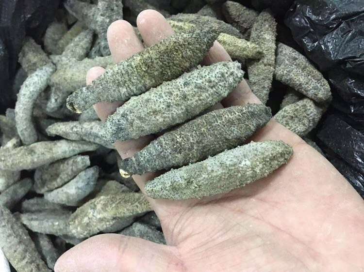 海参与红参电商销售趋势对比图