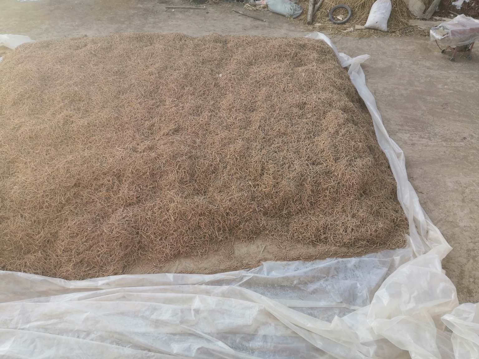 人参与党参产地分布图