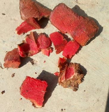 [土茯苓批发]土伏苓价格6.00元/斤 - 一亩田