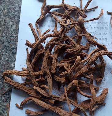 供应百部根精选百部根湖北产正宗百部根