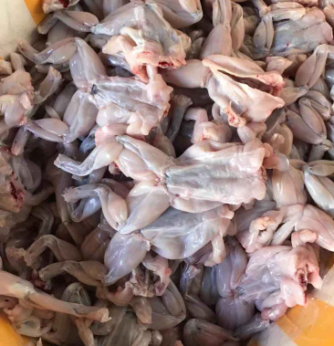 冰鲜美蛙,现杀现发,支持电商,一件代发.