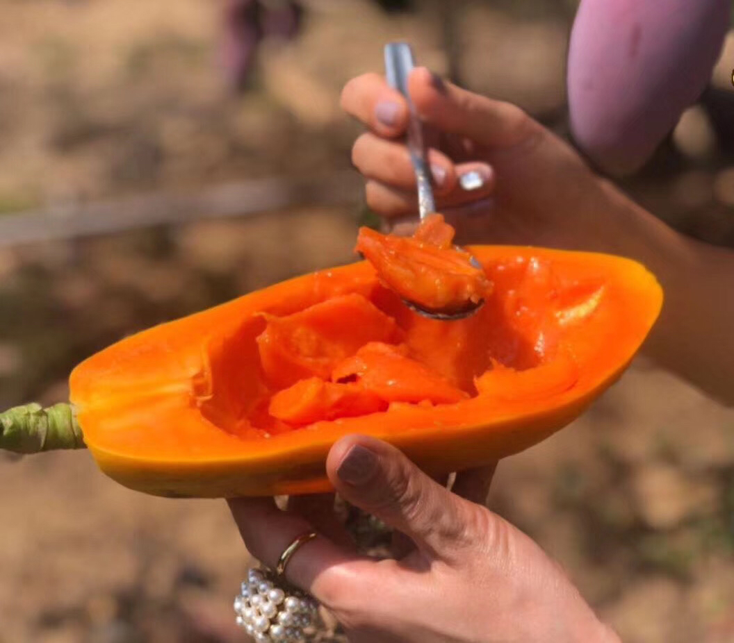 一位年轻女性正在准备新鲜木瓜早餐,操作台上有柠檬汁喷雾瓶和蜂蜜罐,体现健康饮食生活方式 女性在厨房用玻璃碗盛放切块新鲜木瓜,背景为冰箱打开状态露出蔬菜水果
