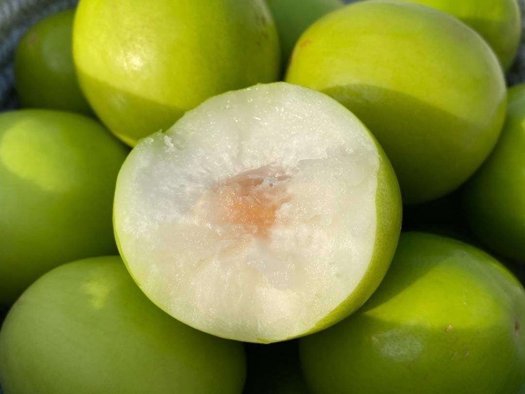 青枣切开果肉细节图