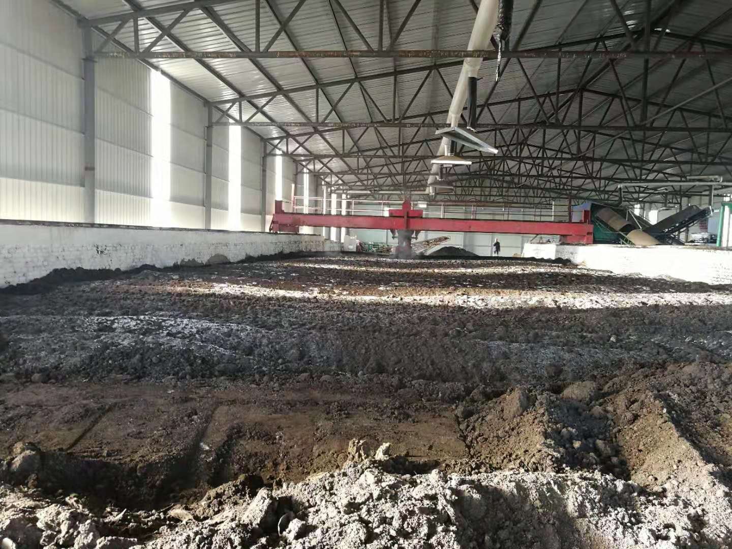 甜橙益生菌发酵过程