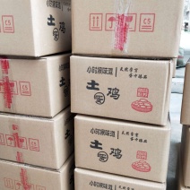 鸡种蛋血毛公鸡种蛋批发零售麻鸡种蛋批发零售