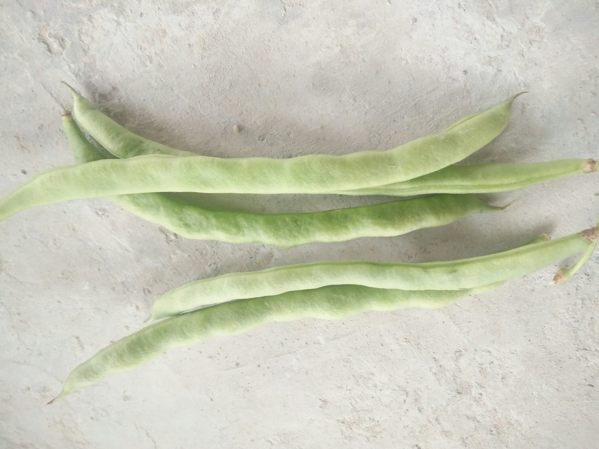 展示四季豆焯水与猪肉腌制的详细操作步骤 四季豆焯水与猪肉腌制过程