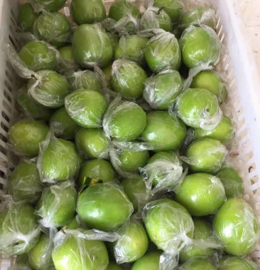 [青枣批发]青枣价格1.30元/斤 - 一亩田