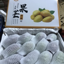 热带水果