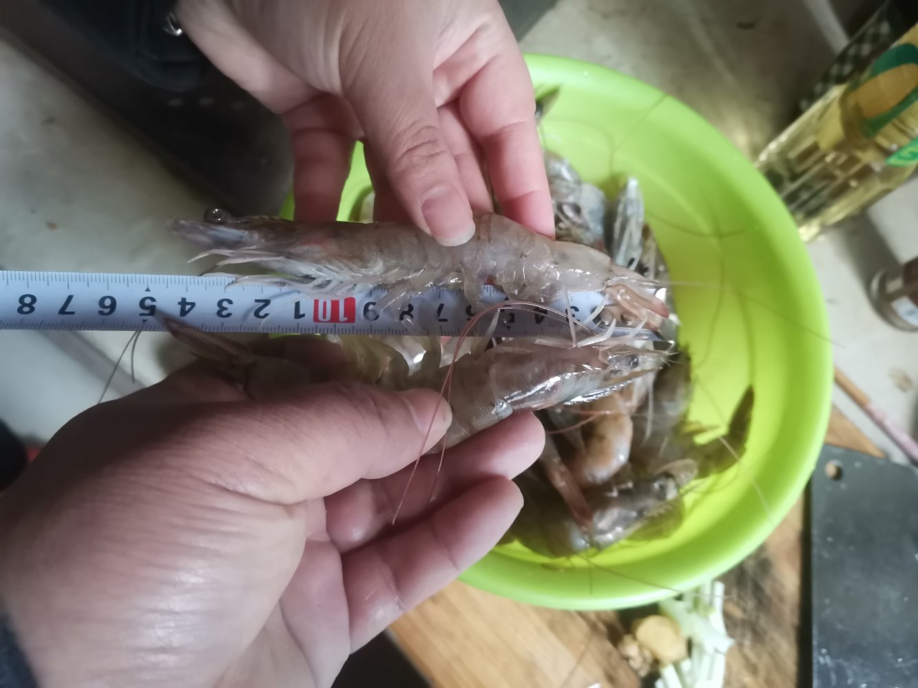 对虾生长监测与采样检测现场
