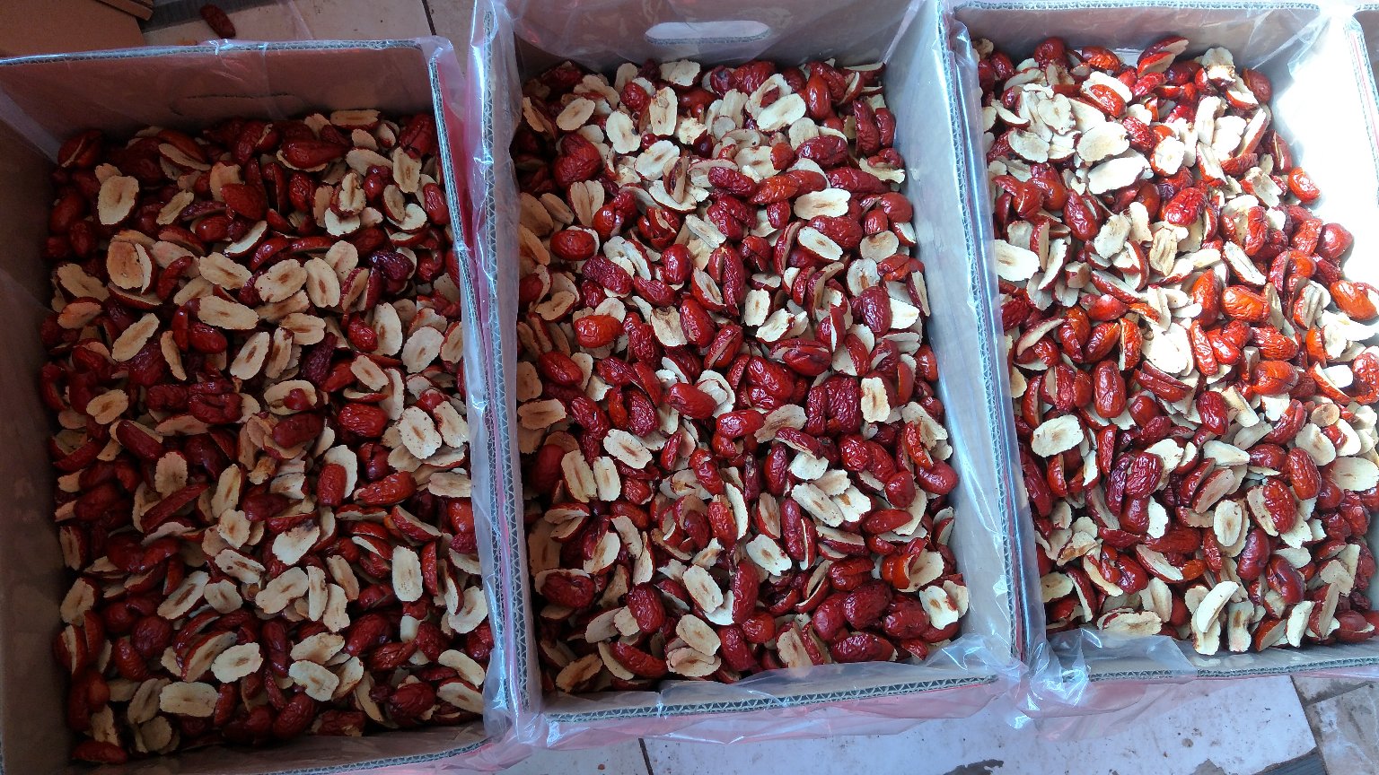 静物摄影:三大主产区优质枣圈对比陈列,强调枣心视觉差异;三枚枣圈均经统一手法掰开,精准呈现各自枣心的色泽层次(深琥珀/金红/暖褐)、形态特征(圆润/宽厚/细糯)及表面质感(蜜纹/油亮/哑光),辅以传统食养元素道具,强化地域性与专业辨识度 产品组合图:三款不同产地枣圈并列陈列于素麻布上——左为若羌灰枣圈(枣心呈深琥珀色),中为和田骏枣圈(枣心肥厚微泛金红),右为山西壶关木枣圈(枣心质地更细腻柔糯),每枚均自然掰开展示枣心断面,配铜秤、干枣、枸杞作衬托