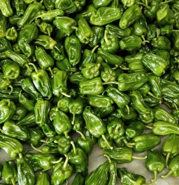 [薄皮椒批发]麻辣椒价格6.80元/斤 - 一亩田