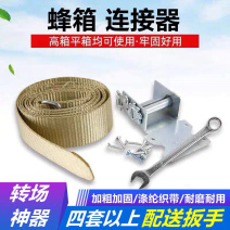 高低蜂箱通用带式连接器加厚捆绑器挑绳捆绑带专场地固定专用