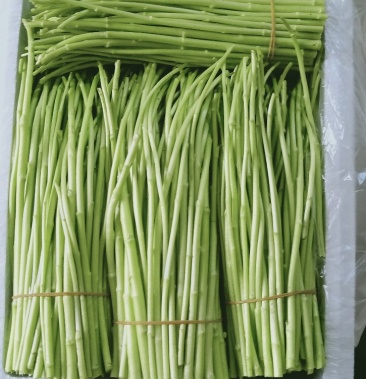 00元/公斤 - 一亩田