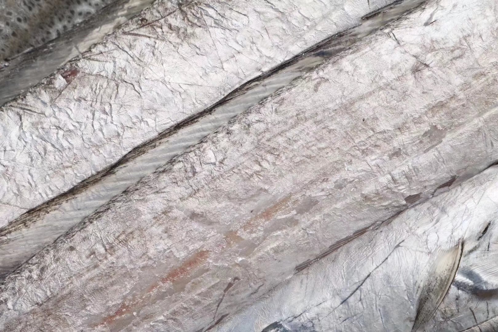 带鱼营养价值图解