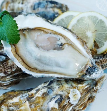 生蚝礼盒装各种规格顺丰包邮一件代发全部批发价肉大个头匀