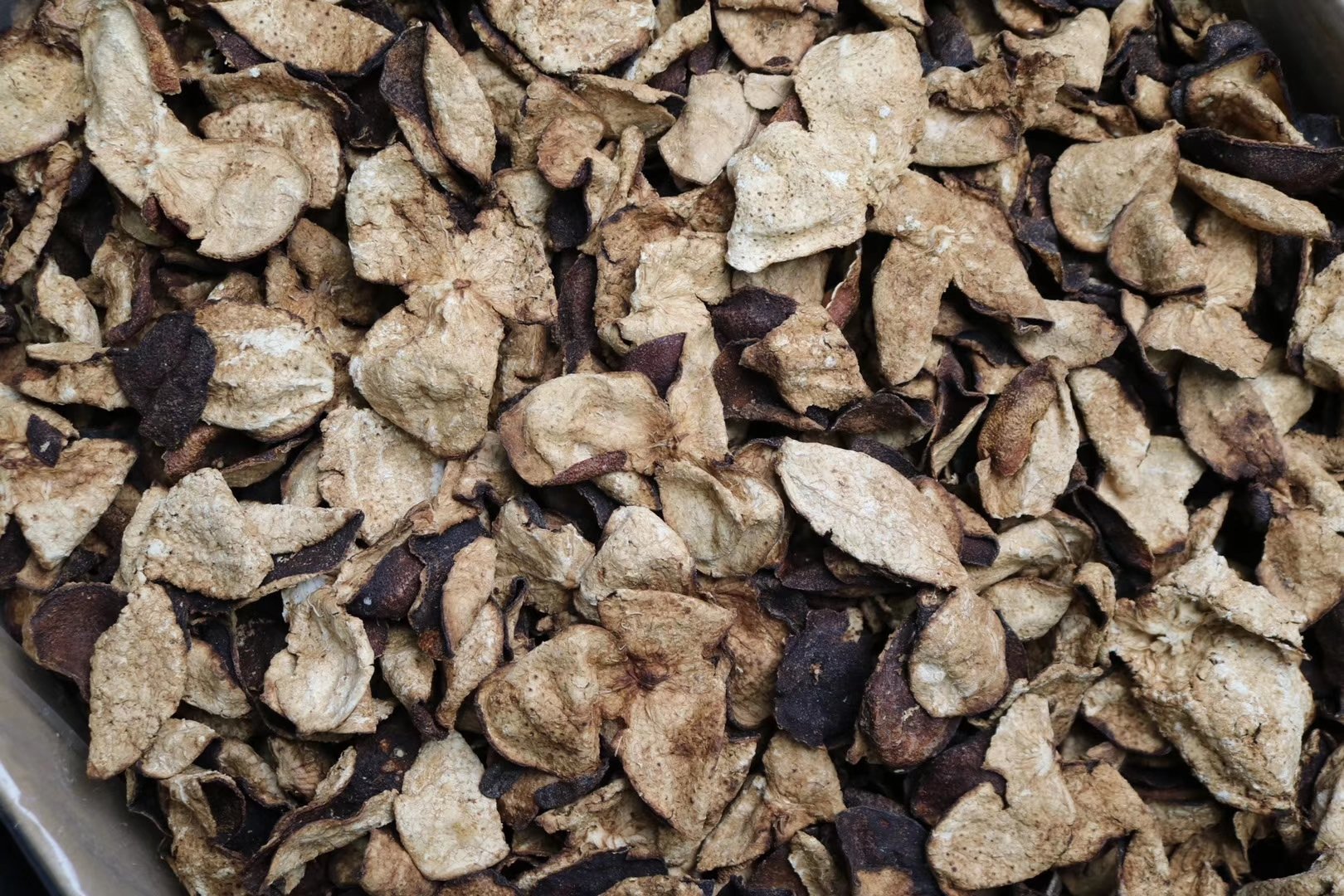 沃柑与陈皮对比图