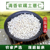 优良农家自种石城糯性薏仁米苡仁米