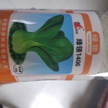 绿领1406青梗菜种子