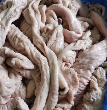 预煮新鲜猪大肠广州发货