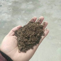 蚯蚓粪营养土、花卉果树蔬菜专用肥、纯牛粪养殖的蚯蚓粪